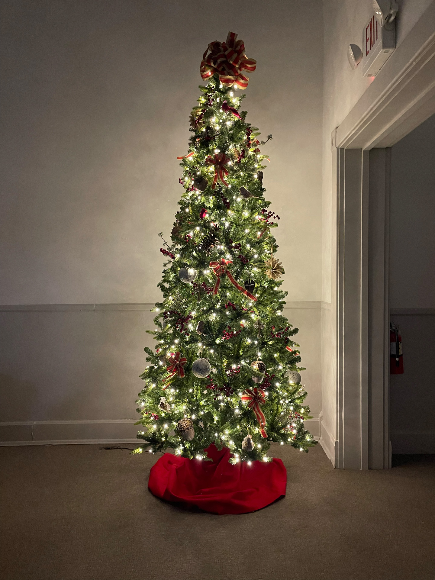 Christmas tree with lights